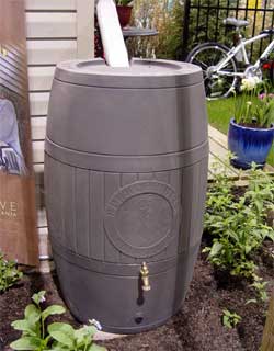 Rain Gutter Cleaning and Repair